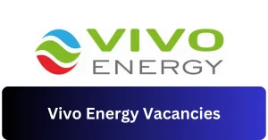 Vivo Energy Vacancies 2025 Recruitment begins with x1 New Job Opportunities
