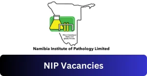 NIP Vacancies 2025 Recruitment begins with x1 New Job Opportunities