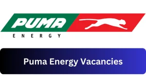 Puma Energy Vacancies 2025 Recruitment begins with x1 New Job Opportunities