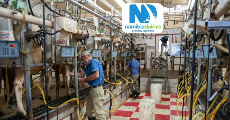 Pasteurizer Operator Vacancies at Namibia Dairies Grade 12 Candidates can Apply